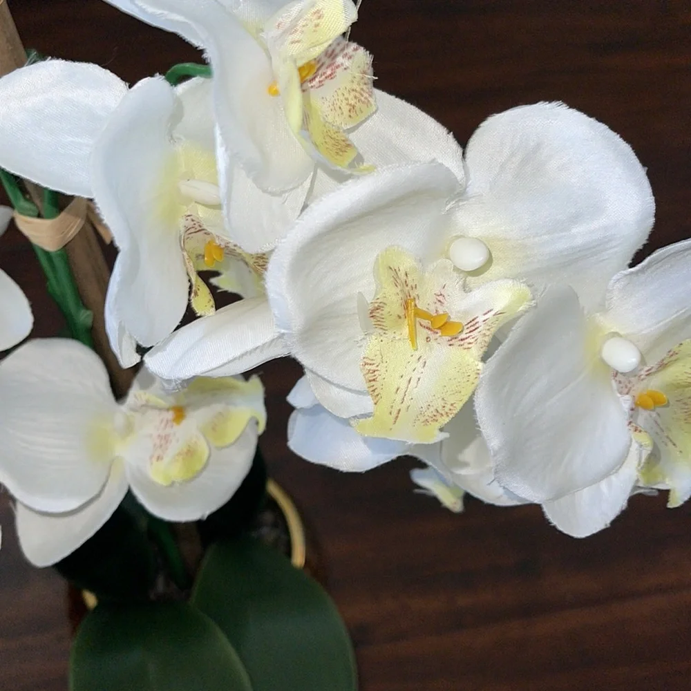Floral Home Decor